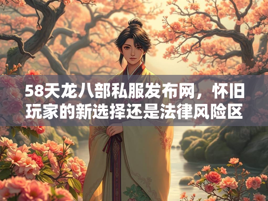 58天龙八部私服发布网，怀旧玩家的新选择还是法律风险区？  第2张