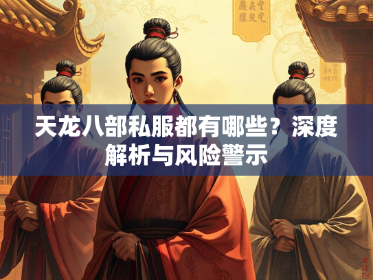 天龙八部私服都有哪些？深度解析与风险警示  第1张