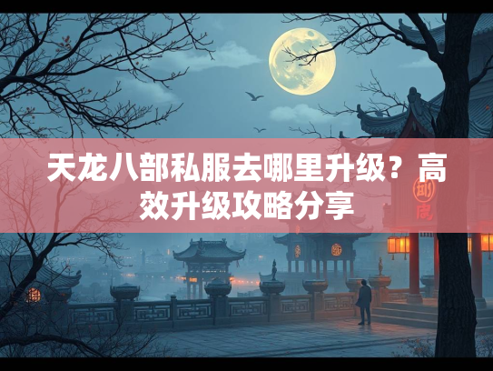 天龙八部私服去哪里升级？高效升级攻略分享