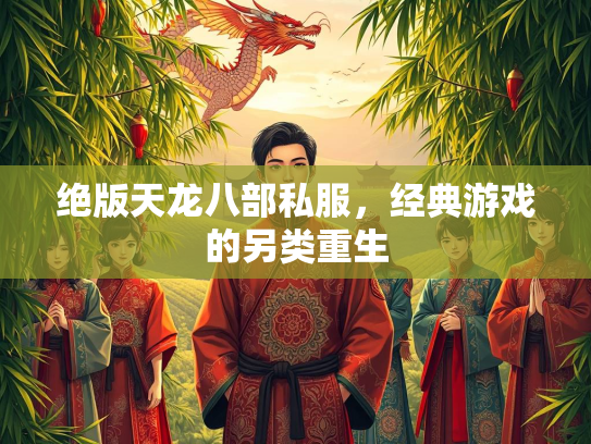 绝版天龙八部私服，经典游戏的另类重生  第2张