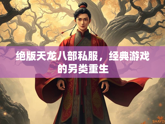 绝版天龙八部私服，经典游戏的另类重生  第3张