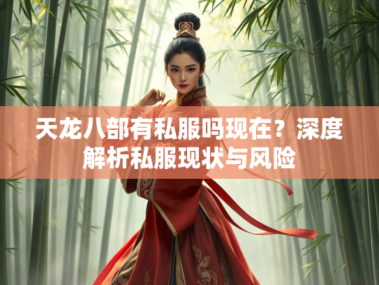天龙八部有私服吗现在？深度解析私服现状与风险  第3张