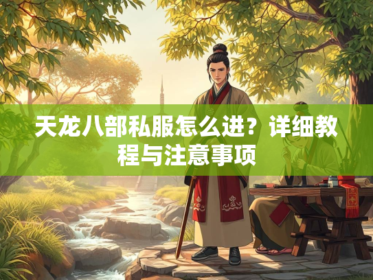 天龙八部私服怎么进？详细教程与注意事项  第1张