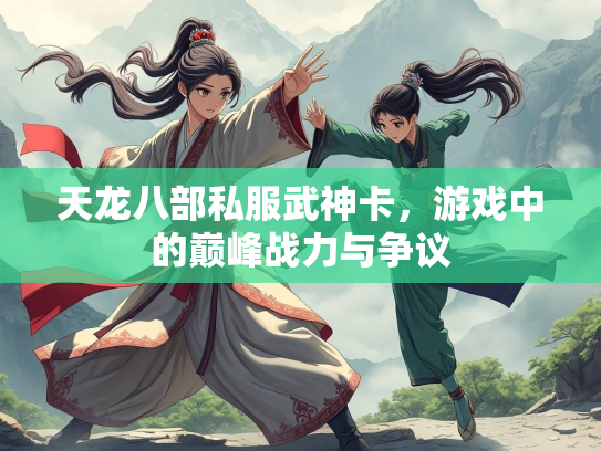 天龙八部私服武神卡，游戏中的巅峰战力与争议  第2张