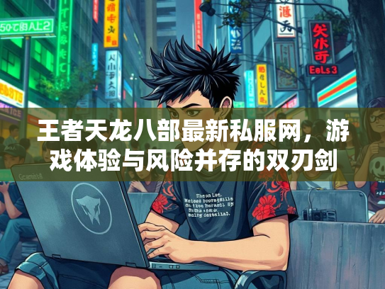王者天龙八部最新私服网，游戏体验与风险并存的双刃剑