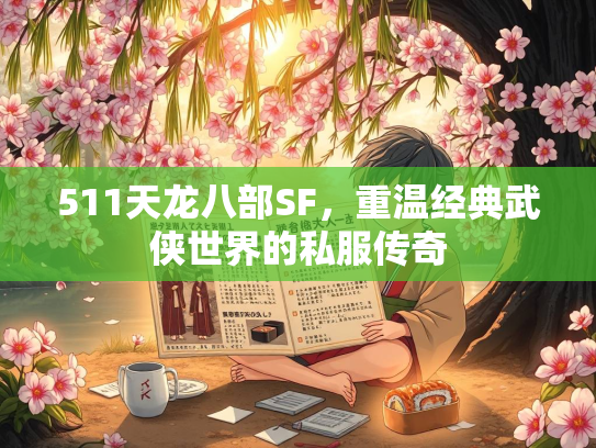 511天龙八部SF，重温经典武侠世界的私服传奇
