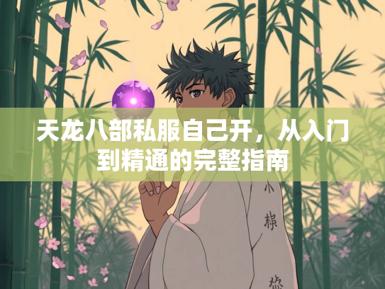 天龙八部私服自己开，从入门到精通的完整指南  第1张