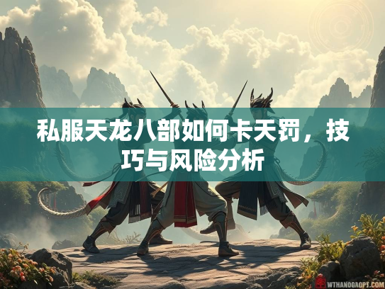 私服天龙八部如何卡天罚，技巧与风险分析  第2张