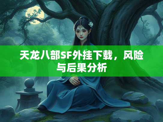 天龙八部SF外挂下载，风险与后果分析  第1张