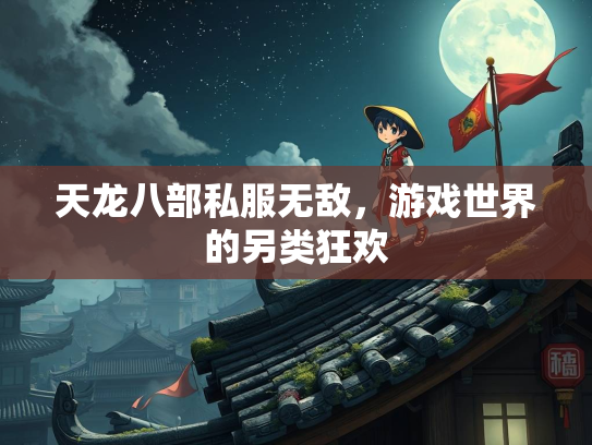 天龙八部私服无敌，游戏世界的另类狂欢  第3张