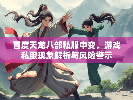 百度天龙八部私服中变，游戏私服现象解析与风险警示  第3张