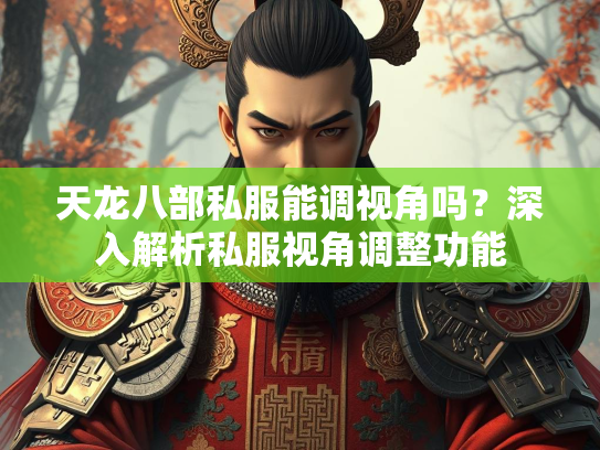 天龙八部私服能调视角吗？深入解析私服视角调整功能