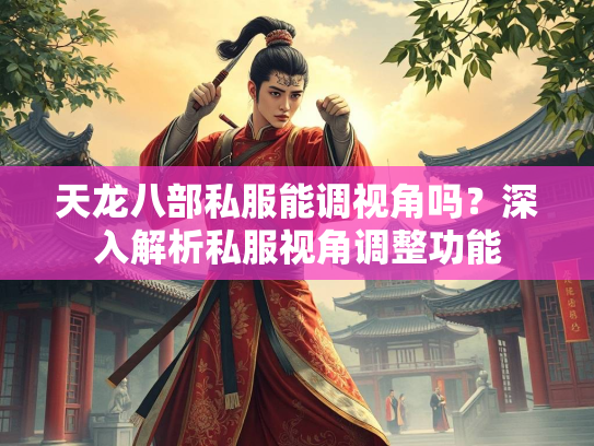 天龙八部私服能调视角吗？深入解析私服视角调整功能