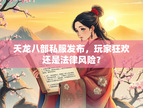 天龙八部私服发布，玩家狂欢还是法律风险？  第2张