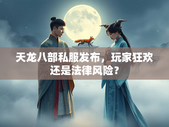 天龙八部私服发布，玩家狂欢还是法律风险？