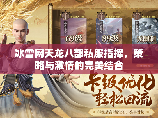 冰雪网天龙八部私服指挥，策略与激情的完美结合  第2张