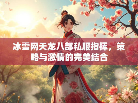 冰雪网天龙八部私服指挥，策略与激情的完美结合  第3张