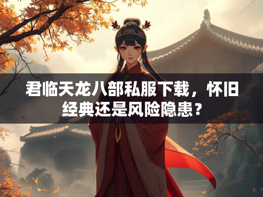 君临天龙八部私服下载，怀旧经典还是风险隐患？  第3张