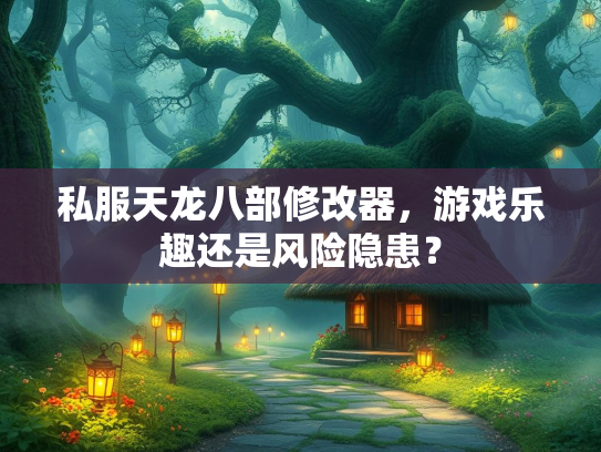 私服天龙八部修改器，游戏乐趣还是风险隐患？