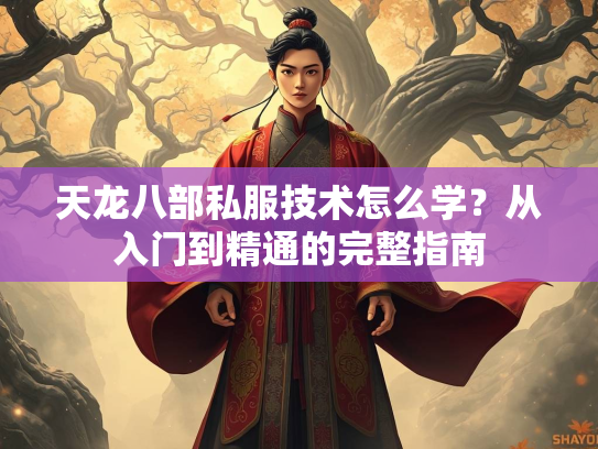天龙八部私服技术怎么学？从入门到精通的完整指南  第1张