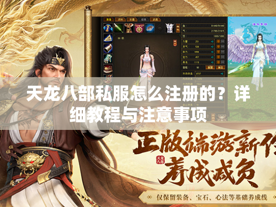 天龙八部私服怎么注册的？详细教程与注意事项  第2张