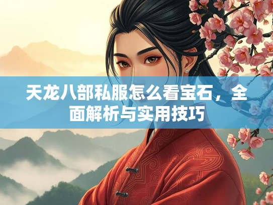 天龙八部私服怎么看宝石，全面解析与实用技巧