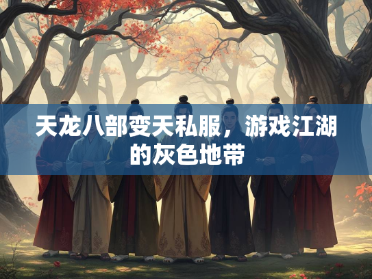 天龙八部变天私服，游戏江湖的灰色地带  第3张
