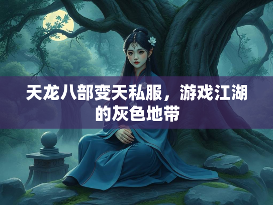 天龙八部变天私服，游戏江湖的灰色地带  第1张