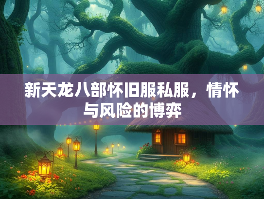新天龙八部怀旧服私服，情怀与风险的博弈  第2张