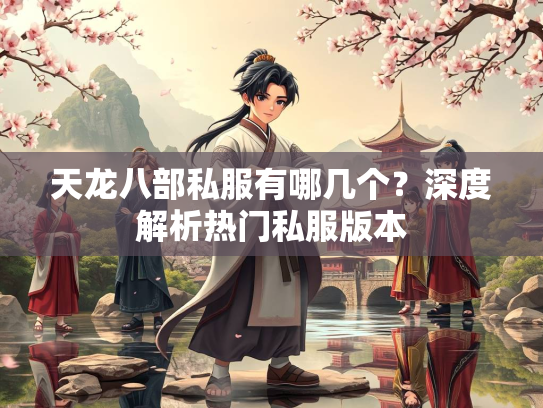 天龙八部私服有哪几个？深度解析热门私服版本  第2张