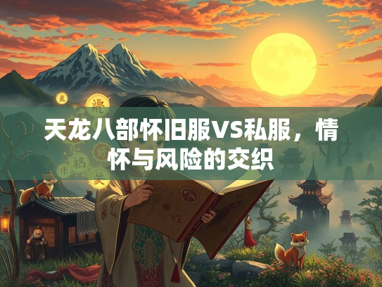 天龙八部怀旧服VS私服，情怀与风险的交织  第3张