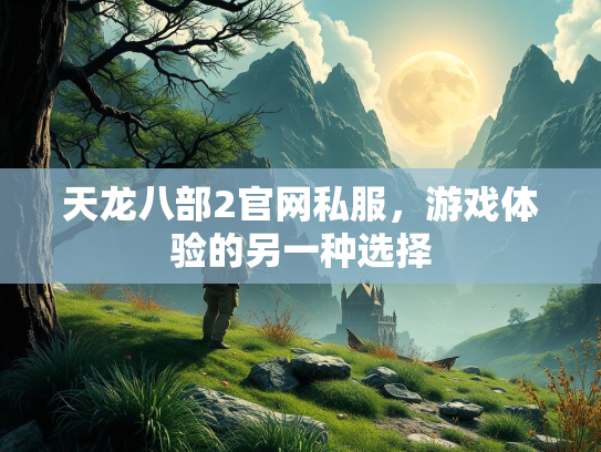 天龙八部2官网私服，游戏体验的另一种选择  第2张