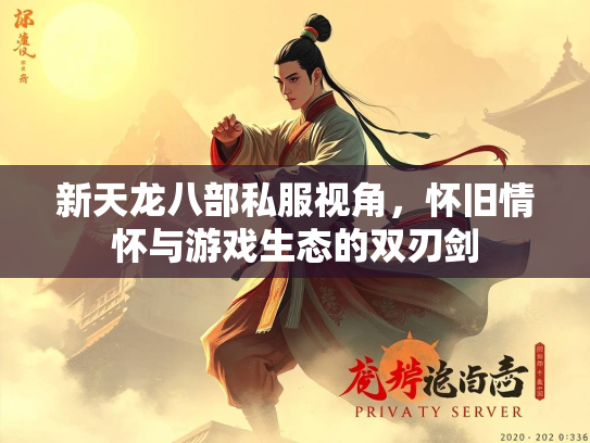 新天龙八部私服视角，怀旧情怀与游戏生态的双刃剑  第1张