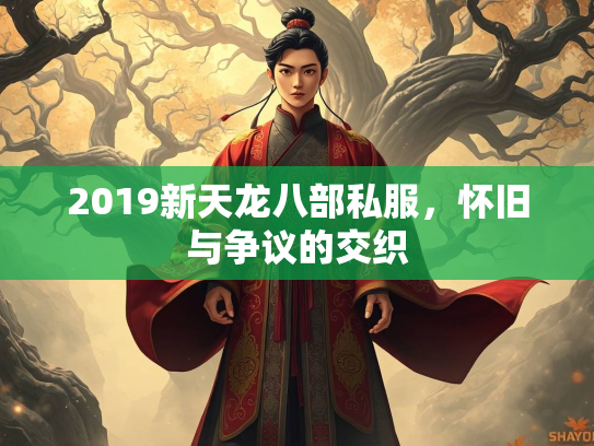 2019新天龙八部私服，怀旧与争议的交织  第2张