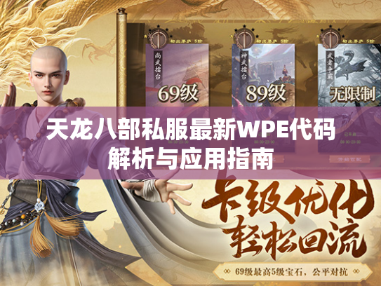 天龙八部私服最新WPE代码解析与应用指南  第3张
