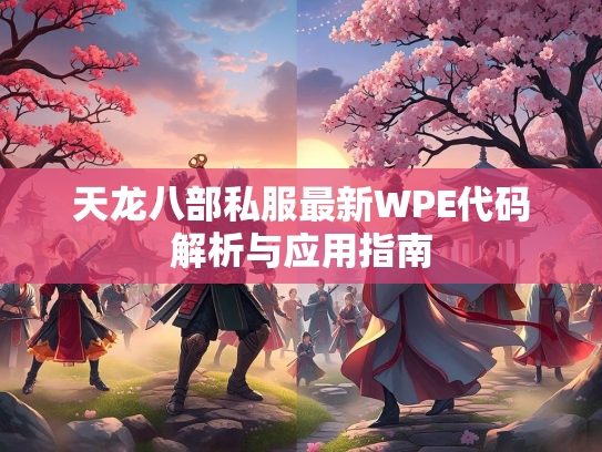 天龙八部私服最新WPE代码解析与应用指南  第1张