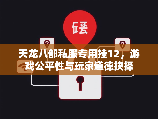 天龙八部私服专用挂12，游戏公平性与玩家道德抉择  第2张