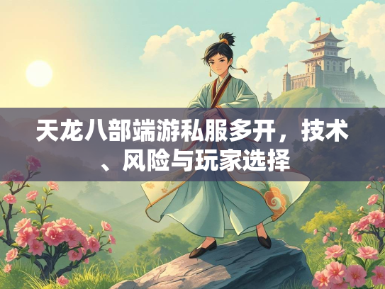 天龙八部端游私服多开，技术、风险与玩家选择  第2张