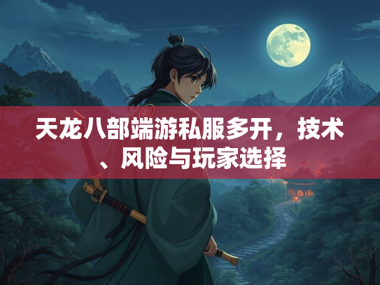 天龙八部端游私服多开，技术、风险与玩家选择  第1张