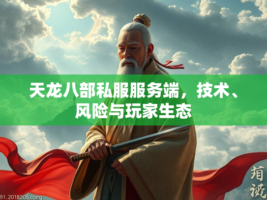 天龙八部私服服务端，技术、风险与玩家生态  第2张