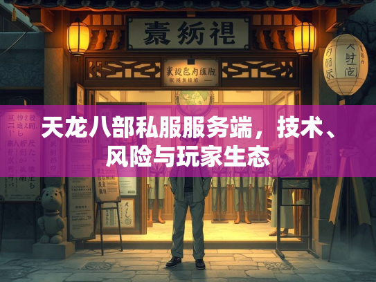 天龙八部私服服务端，技术、风险与玩家生态  第1张