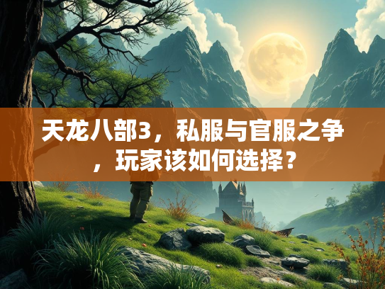 天龙八部3，私服与官服之争，玩家该如何选择？  第1张