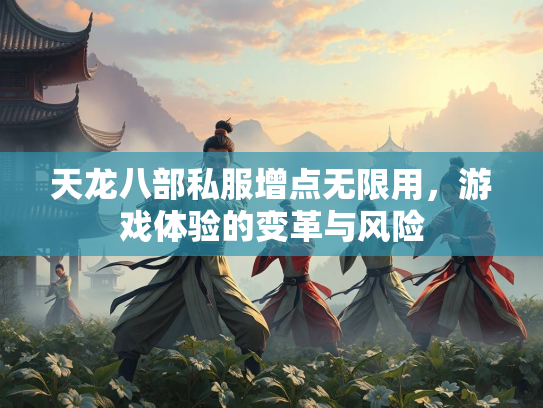 天龙八部私服增点无限用，游戏体验的变革与风险  第1张