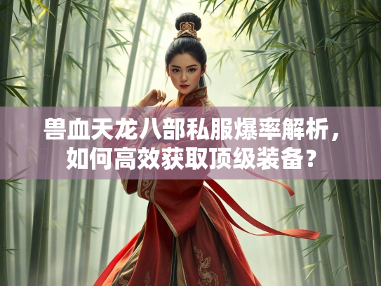 兽血天龙八部私服爆率解析，如何高效获取顶级装备？  第2张