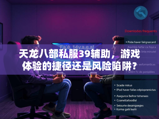 天龙八部私服39辅助，游戏体验的捷径还是风险陷阱？  第2张