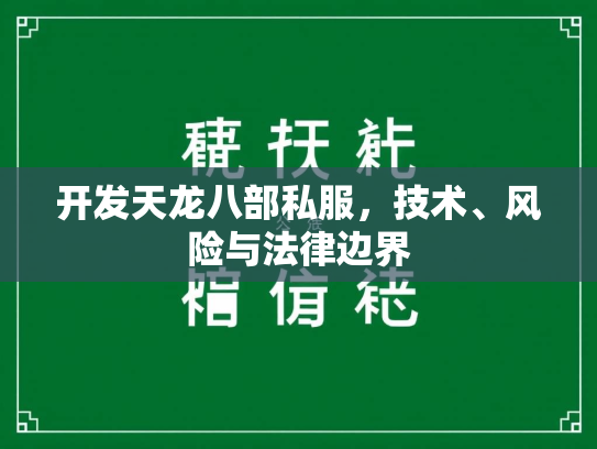 开发天龙八部私服，技术、风险与法律边界  第2张