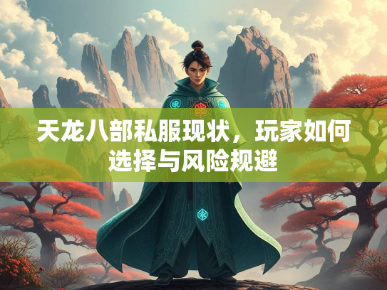 天龙八部私服现状，玩家如何选择与风险规避  第1张