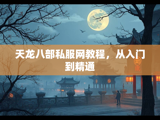 天龙八部私服网教程，从入门到精通  第3张