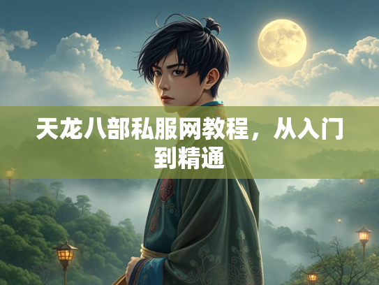 天龙八部私服网教程，从入门到精通  第1张