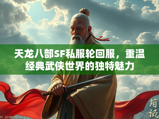 天龙八部SF私服轮回服，重温经典武侠世界的独特魅力  第2张